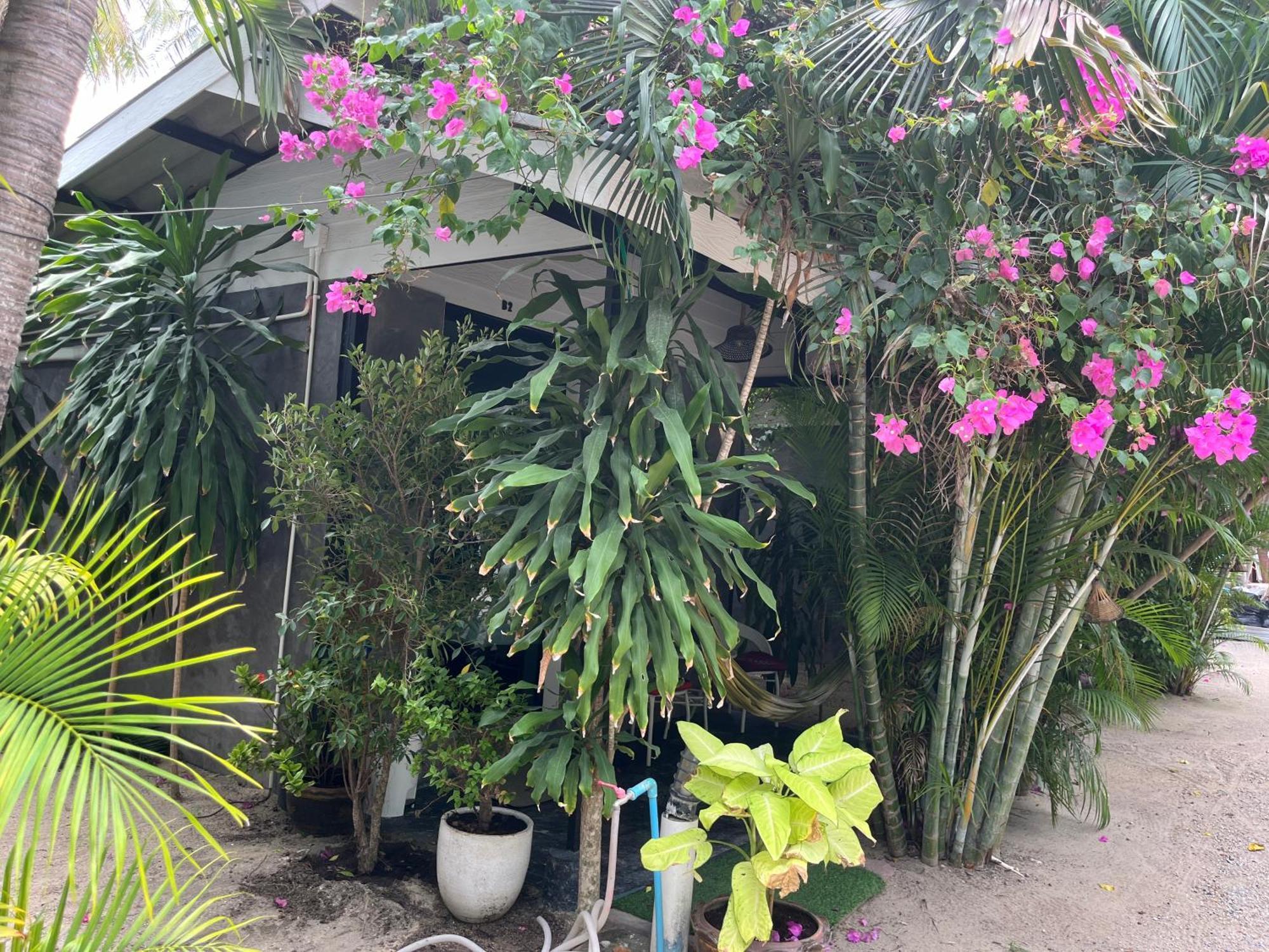Namthip Homebeach بان تاي المظهر الخارجي الصورة