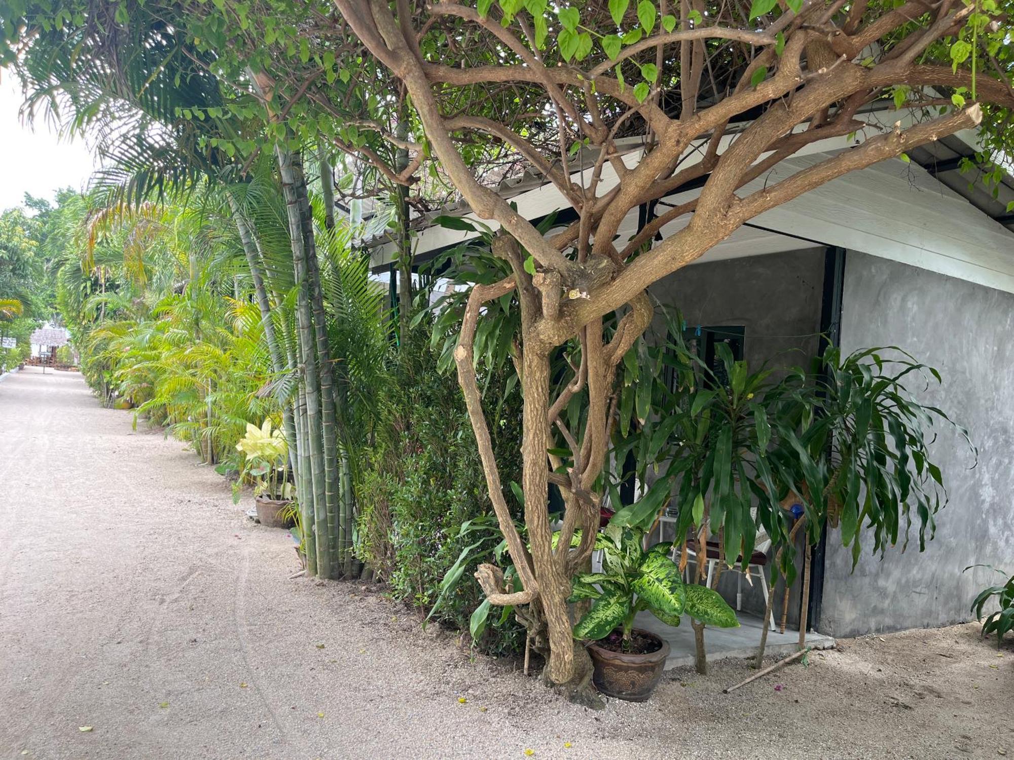 Namthip Homebeach بان تاي المظهر الخارجي الصورة